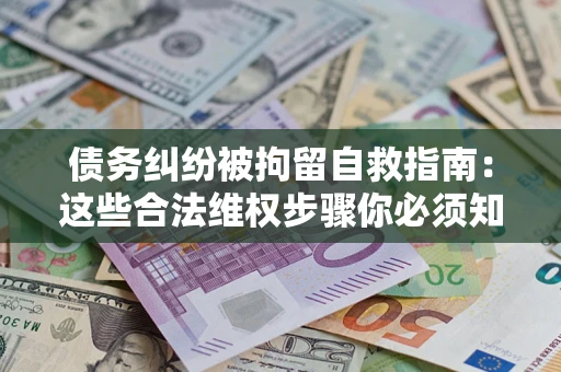 武汉债务纠纷被拘留自救指南：这些合法维权步骤你必须知道！