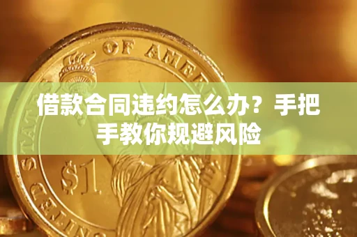 武汉借款合同违约怎么办？手把手教你规避风险