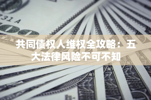 武汉共同债权人维权全攻略：五大法律风险不可不知