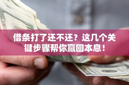武汉借条打了还不还？这几个关键步骤帮你赢回本息！