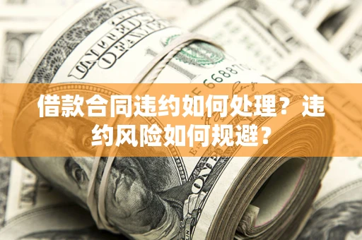 武汉借款合同违约如何处理？违约风险如何规避？