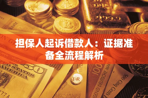 武汉担保人起诉借款人：证据准备全流程解析
