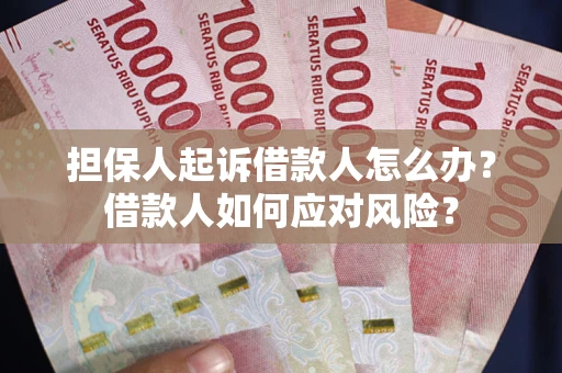 武汉担保人起诉借款人怎么办？借款人如何应对风险？