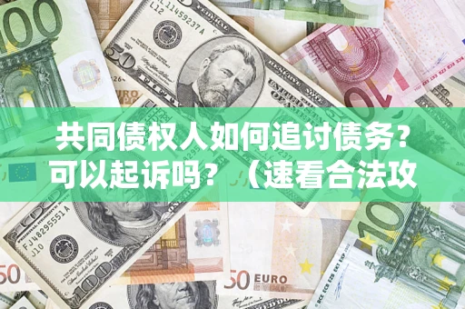 武汉共同债权人如何追讨债务？可以起诉吗？（速看合法攻略）