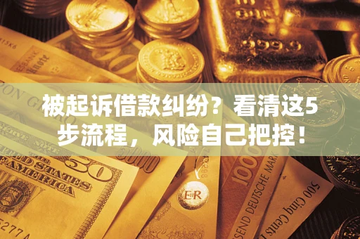 武汉被起诉借款纠纷？看清这5步流程，风险自己把控！