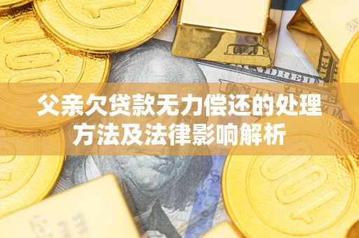 武汉父亲欠贷款无力偿还的处理方法及法律影响解析