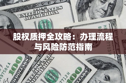 武汉股权质押全攻略：办理流程与风险防范指南